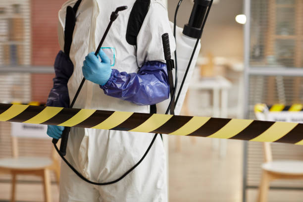 Professional Sewage Cleanup technician working in Lee, NH